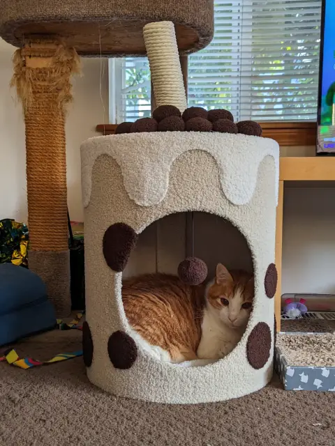 Anders, an orange and white cat, laying in a cat house that looks like a boba tea cup.